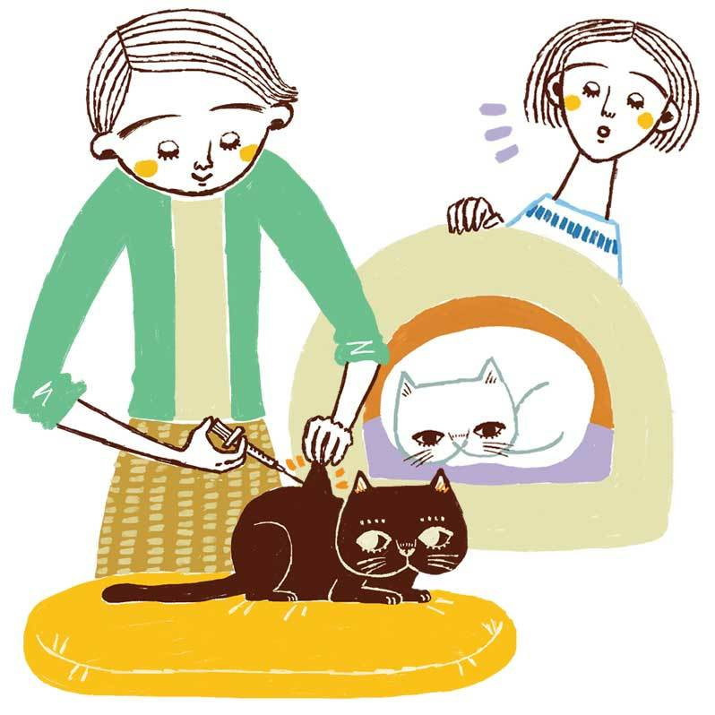 イラストレーターStudioCUBE.おしゃれでスマートDタッチのイラスト実績