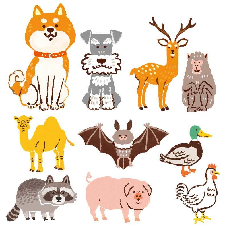 イラストレーターStudioCUBE.おしゃれでスマートDタッチのイラスト実績