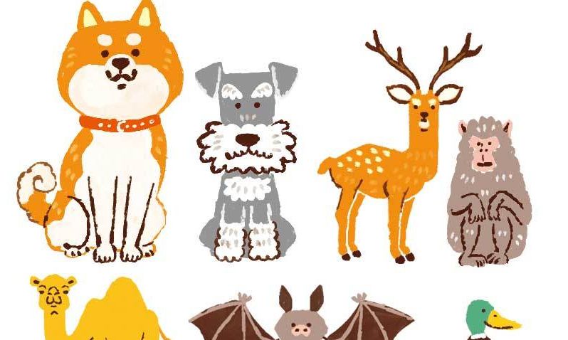 イラストレーターStudioCUBE.おしゃれでスマートDタッチのイラスト実績