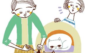 イラストレーターStudioCUBE.おしゃれでスマートDタッチのイラスト実績